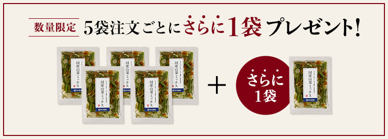数量限定 5袋ごとにさらに1袋プレゼント！